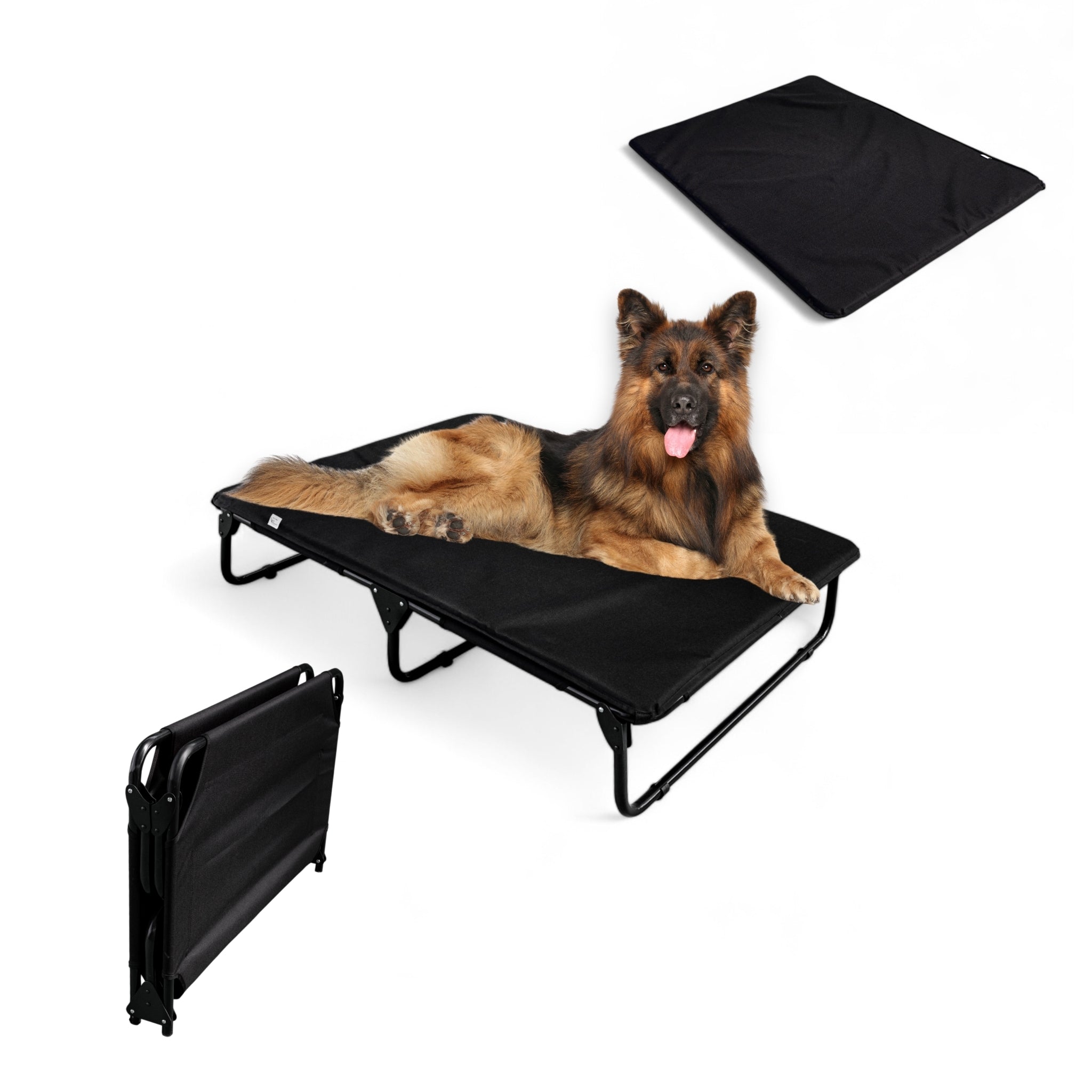 PEGASO KIT Extra Large Dog Bed/Cot + Mat, 122x92x18 cm (Mod KM-EG)