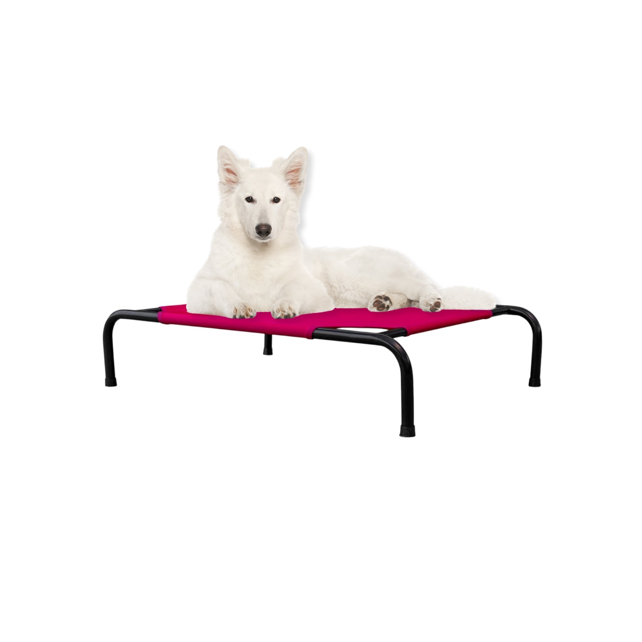 Cama Elevada para Perro tamaño Mediano, Desarmable (KM-MD-DES)