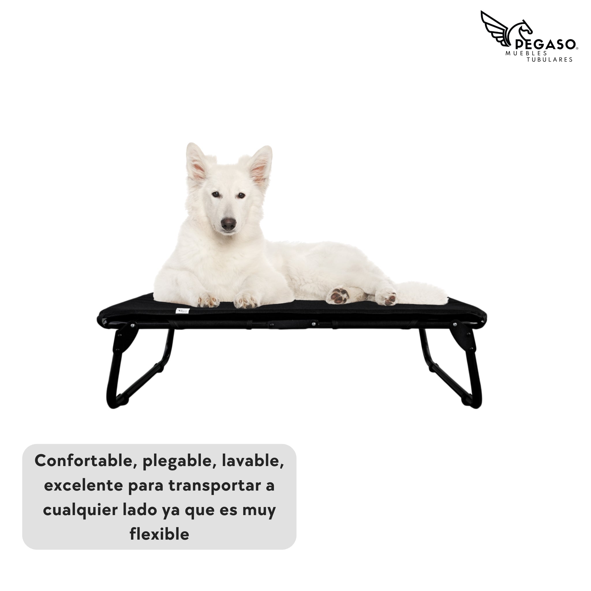 PEGASO KIT Bed/Cot + Medium Dog Mat, 78 x 59 x 18 cm (Mod KM-MD)