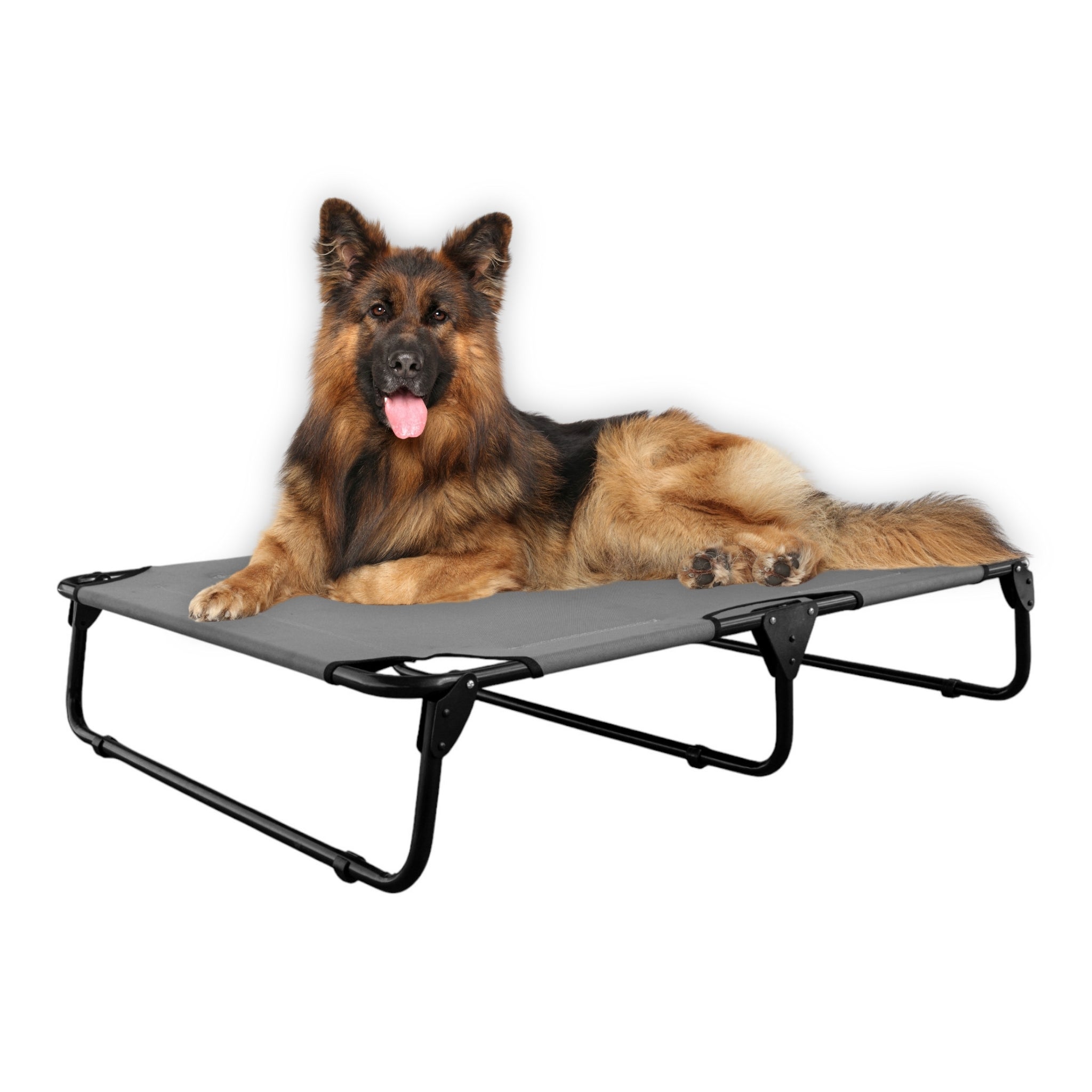 PEGASO Cama Elevada para Perro tamaño Extra Grande, 122x92x18 cm (Mod KM-EG)