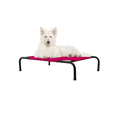 Cama Elevada para Perro tamaño Mediano, Desarmable (KM-MD-DES)