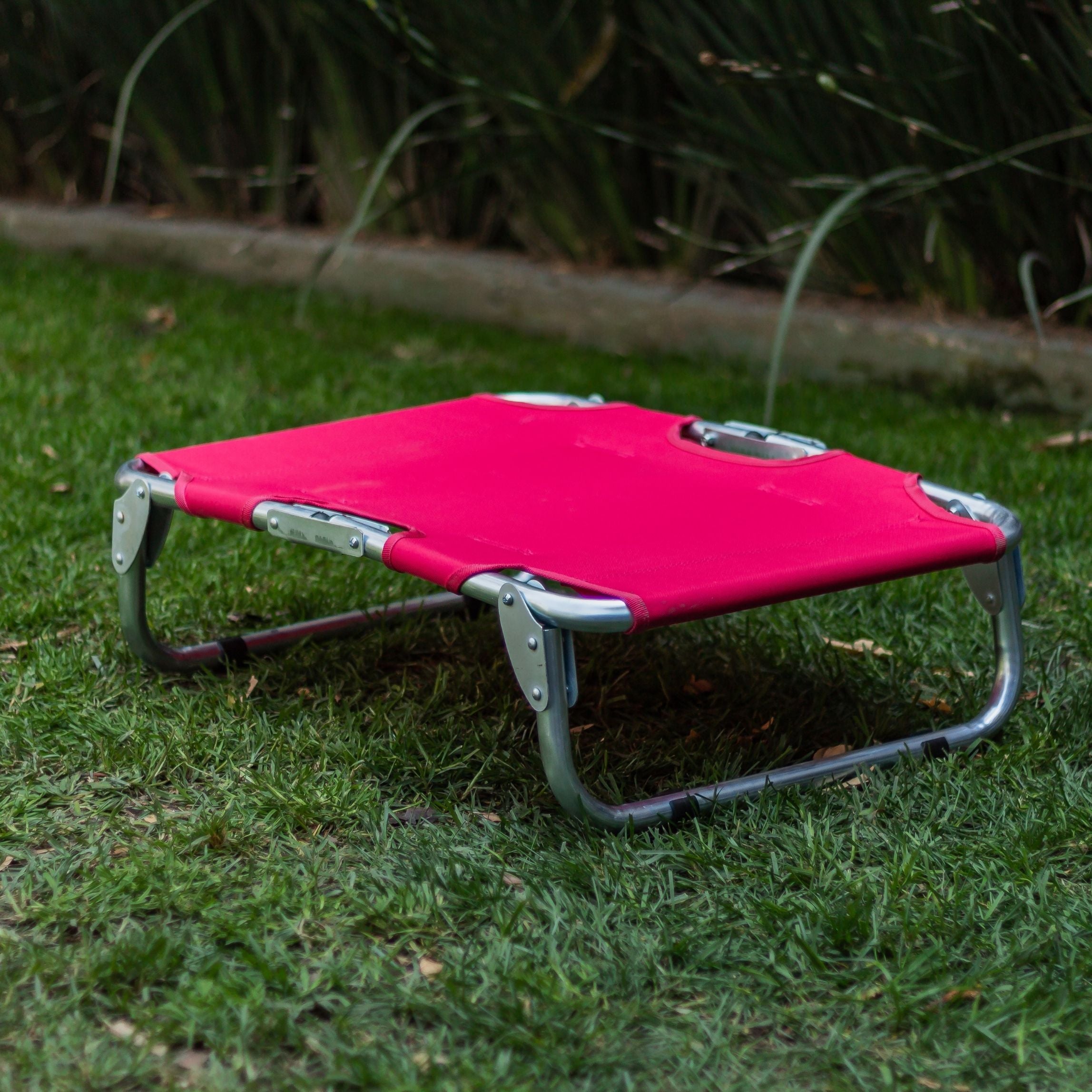 PEGASO Elevated Dog Bed for Small Dogs, 63x46x18.5 cm (Model KM-CH) 