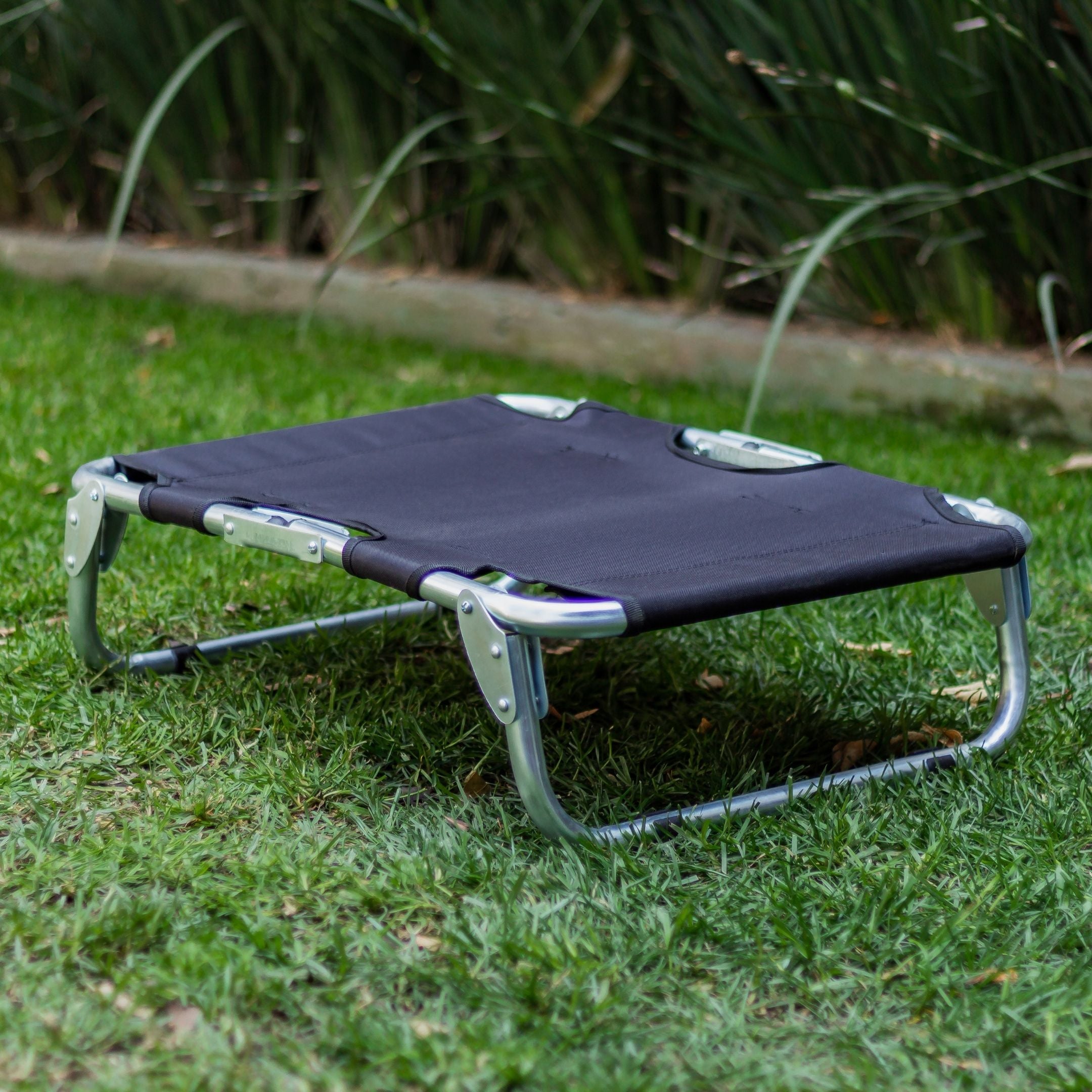 PEGASO Elevated Dog Bed for Small Dogs, 63x46x18.5 cm (Model KM-CH) 