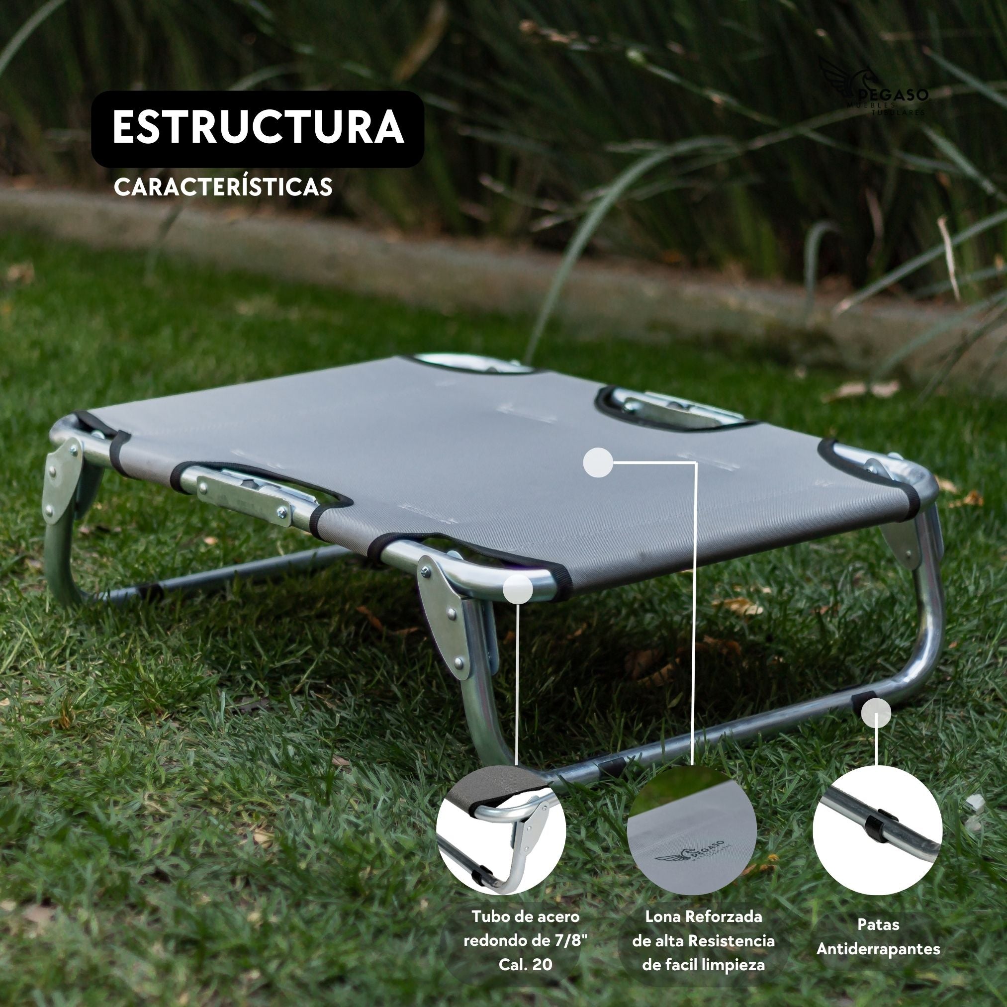 PEGASO Elevated Dog Bed for Small Dogs, 63x46x18.5 cm (Model KM-CH) 