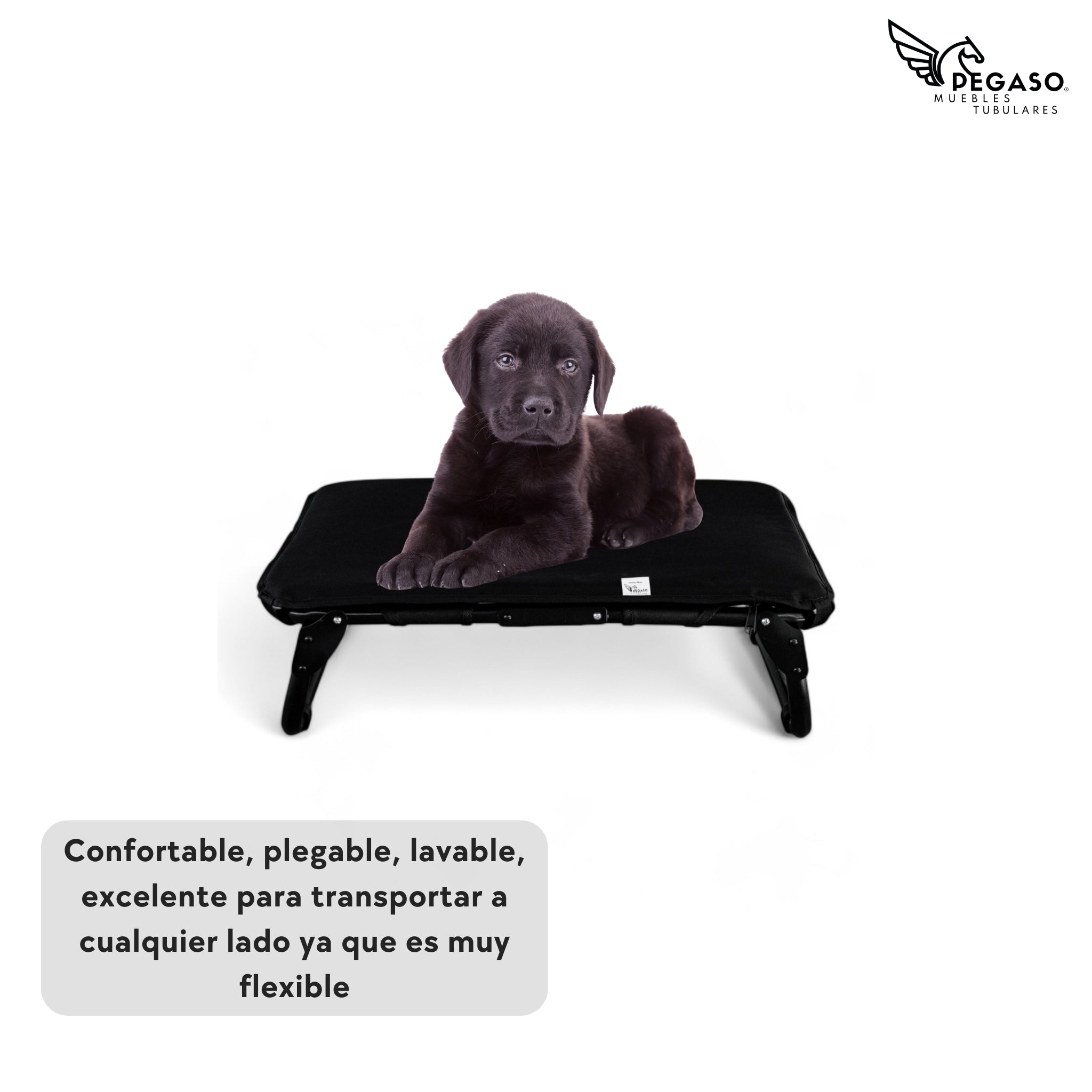 PEGASO KIT Bed/Cot + Mat for Small Dogs, 63 x 46.5 x 18.5 cm (Mod KM-CH)