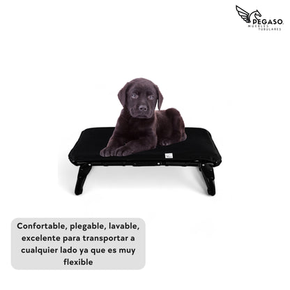 PEGASO KIT Bed/Cot + Mat for Small Dogs, 63 x 46.5 x 18.5 cm (Mod KM-CH)