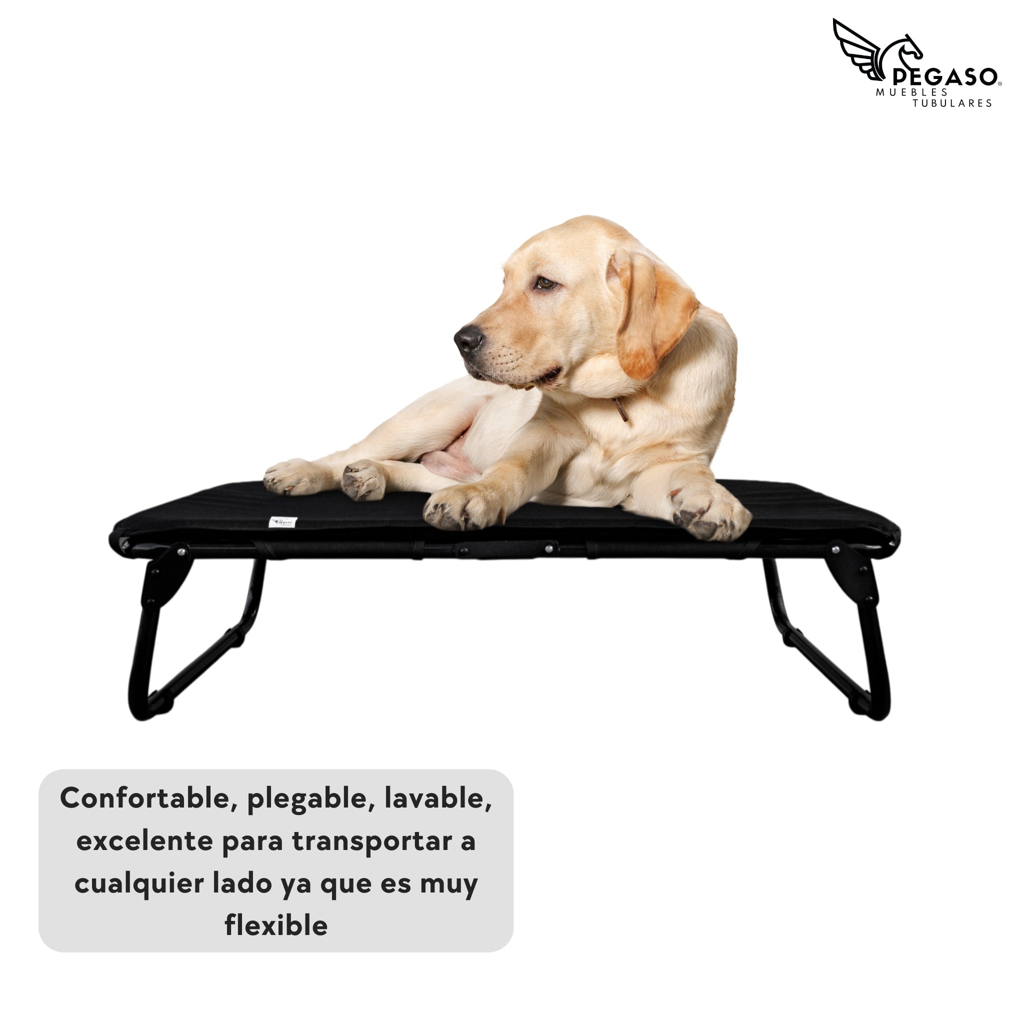 PEGASO KIT Bed/Cot + Large Dog Mat, 92.5 x 75 x 18 cm (Mod KM-GD)