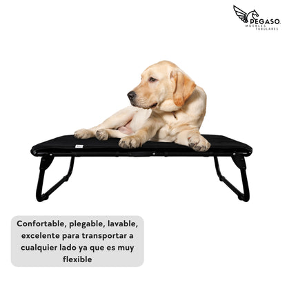 PEGASO KIT Bed/Cot + Large Dog Mat, 92.5 x 75 x 18 cm (Mod KM-GD)
