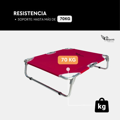 PEGASO Cama Elevada para Perro tamaño Mediano, 78x59x22 cm (Mod KM-MD)