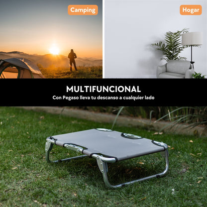 PEGASO Elevated Dog Bed for Small Dogs, 63x46x18.5 cm (Model KM-CH) 